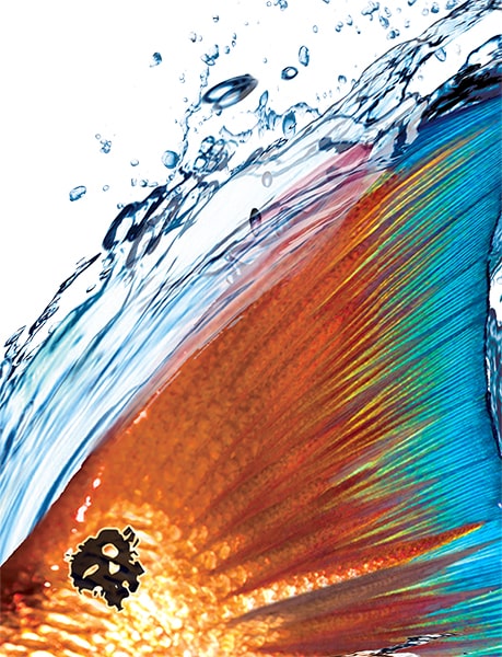 Redfish Designs by Rattlin Jack on UV Apparel – Rattlin Jack Sun Protection