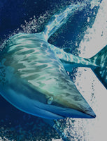 Rattlin-Jack-Shark-UV-Hooded-Fishing-Shirt DETAIL of back shown in grey